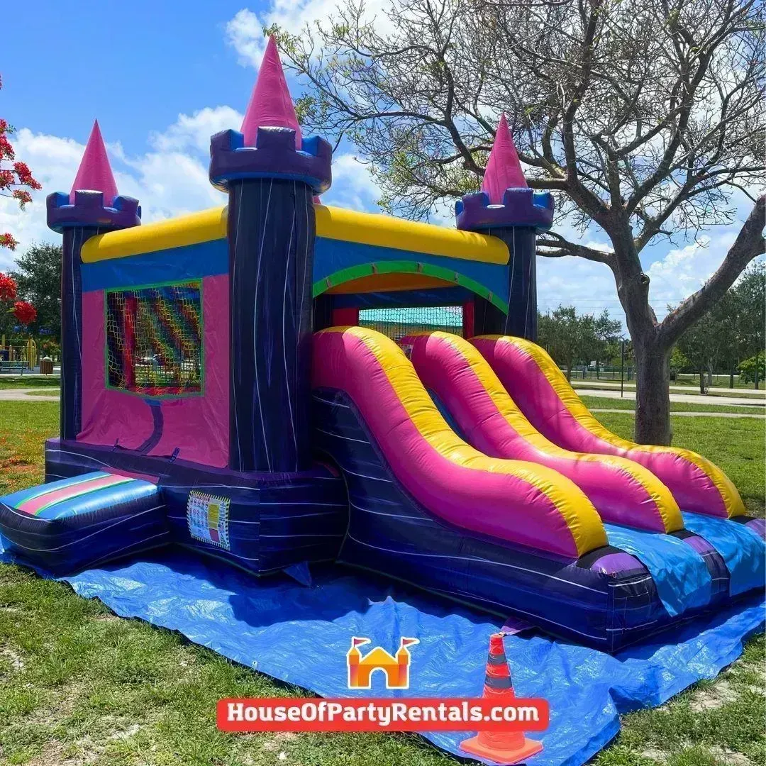 Pink Combo Castle Double Slide